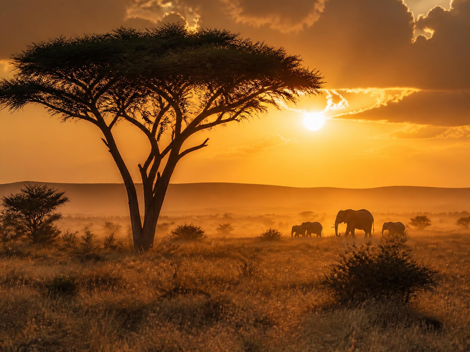Kenia, el viaje que nos cambió la escala de las cosas
